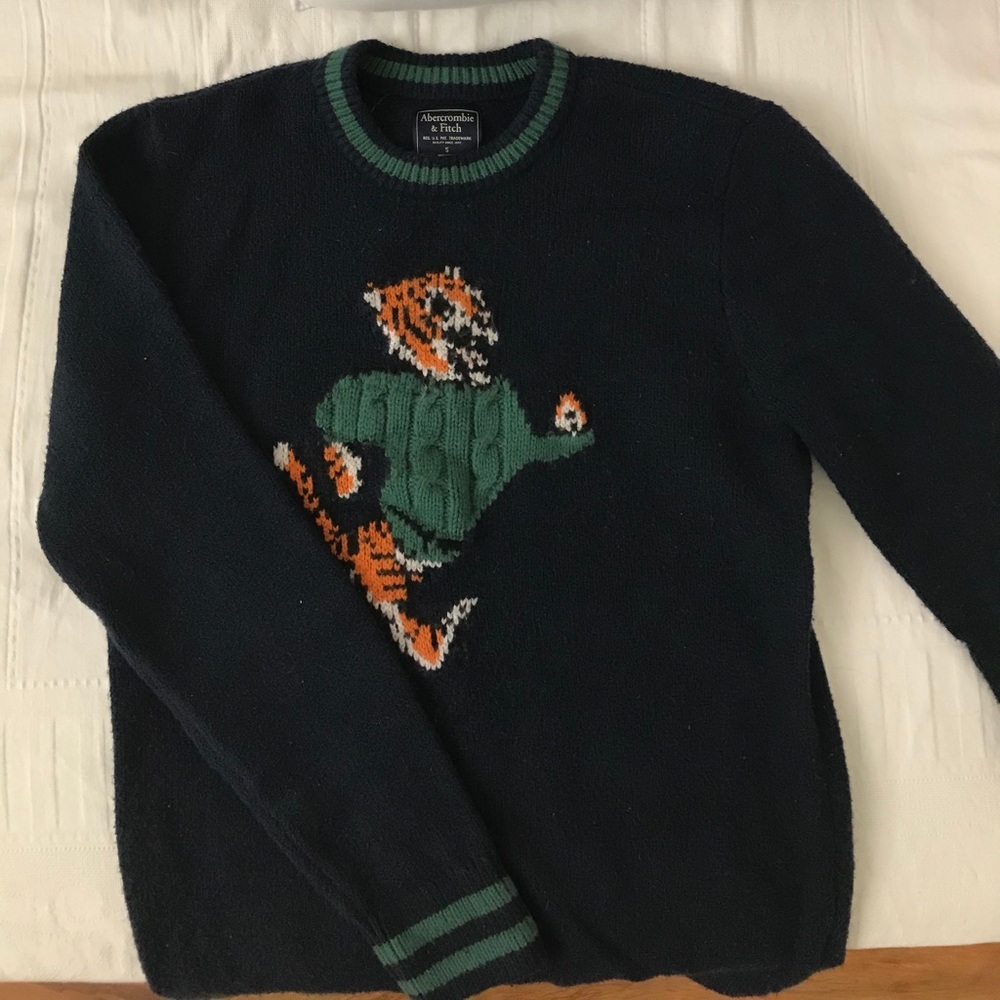 Abercrombie & Fitch Tiger Sweater